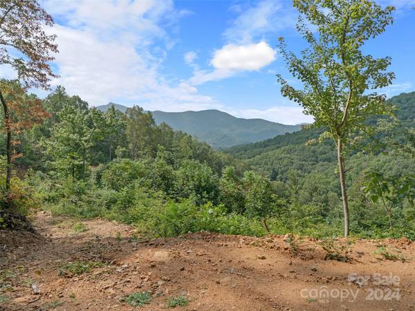 Burnsville, NC 28714,16 +/- acres Sirl LN