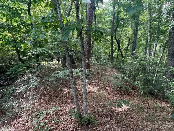 Lake Lure, NC 28746,0000 Justice DR