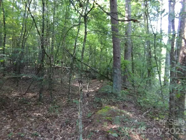 Mooresboro, NC 28114,Lot 4 State Line RD