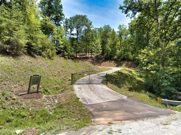 Mill Spring, NC 28756,00000 Ridgeland WAY