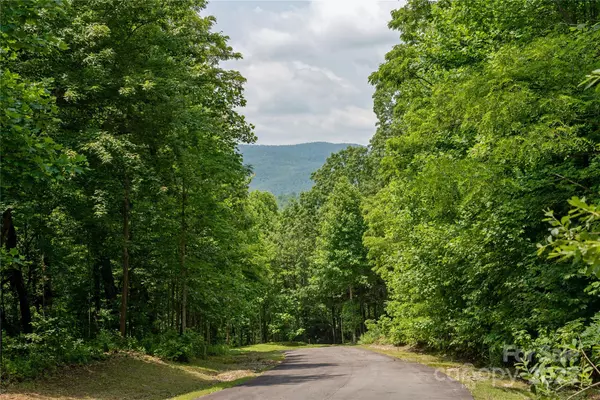 Laurel Park, NC 28739,120 Ivywood LN