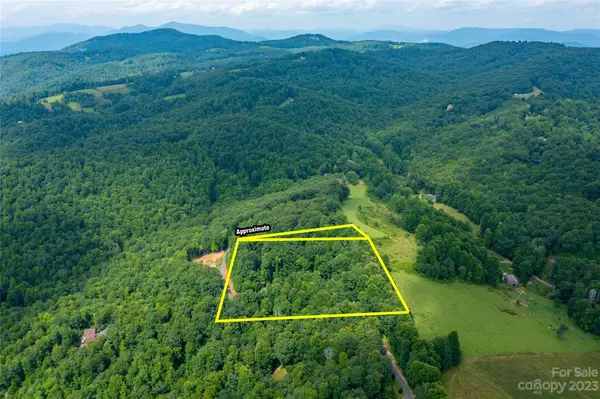 Little Switzerland, NC 28777,000 Sassafras DR