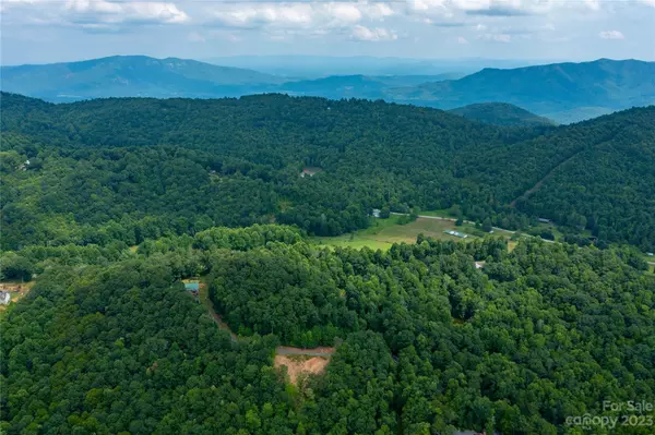 Little Switzerland, NC 28777,000 Sassafras DR