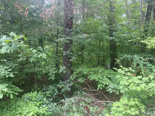 Rutherfordton, NC 28139,V/L Arrowood RD #Lot 1