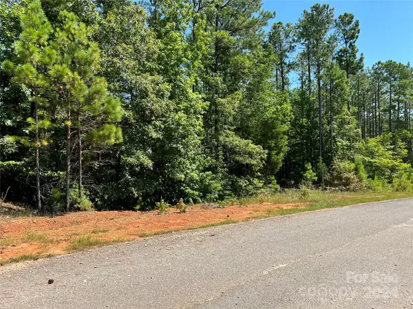 Chester, SC 29706,Lot #1 Goings RD #1