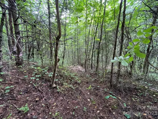 Sylva, NC 28779,999 Dills Cove RD
