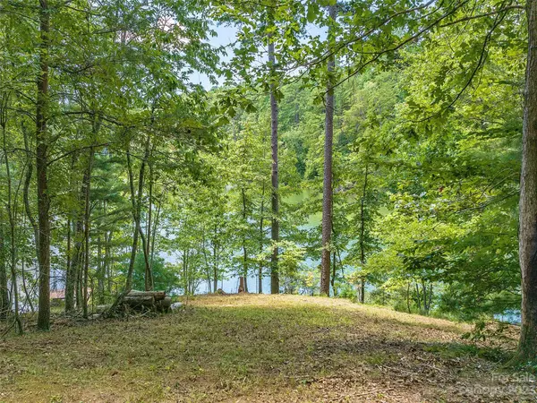 Mill Spring, NC 28756,LOT 17 South Cove RD