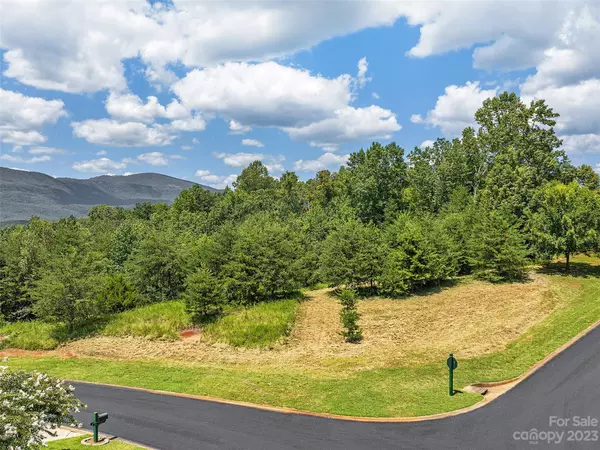 Mill Spring, NC 28756,LOTS 50 & 50A Mountain Pkwy
