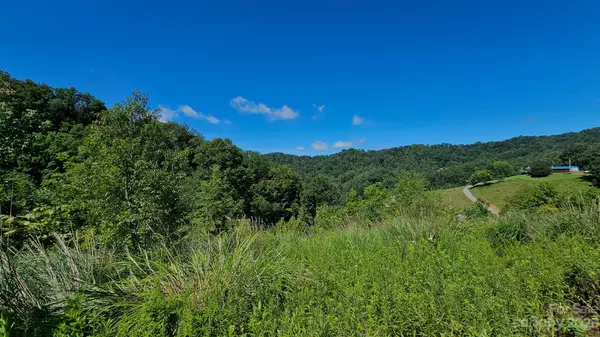 310 E Bee Tree RD, Marshall, NC 28753