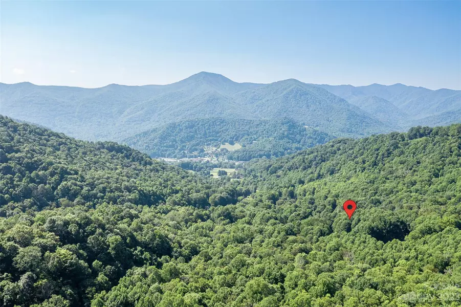 99999 Covecrest DR, Maggie Valley, NC 28751