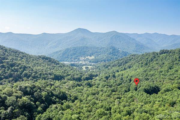 99999 Covecrest DR, Maggie Valley, NC 28751