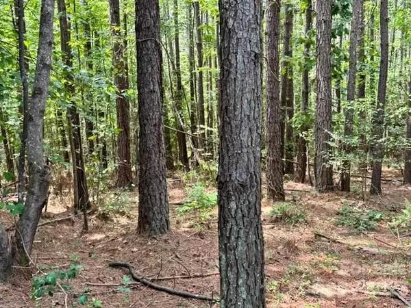 Valdese, NC 28690,100 Shortoff TRL NW