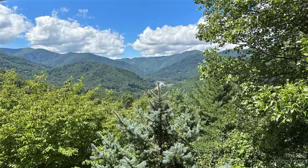 Maggie Valley, NC 28751,821 Summit DR