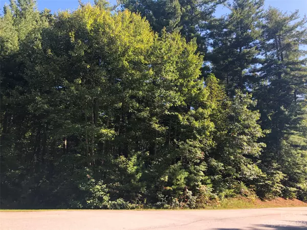 Hendersonville, NC 28739,LOT 20 Daylily DR