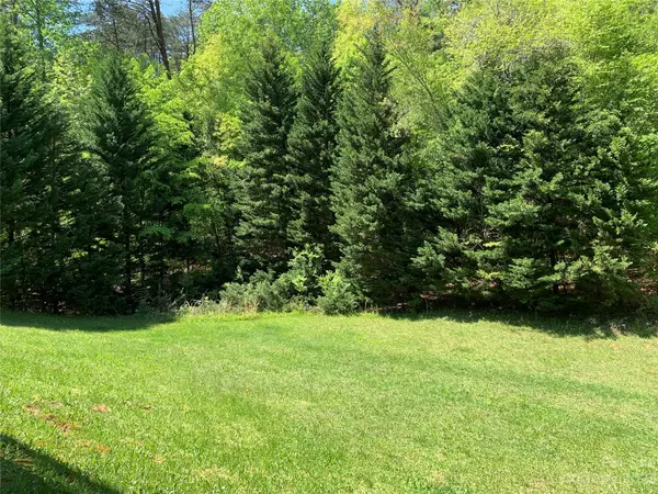 Rutherfordton, NC 28139,162 Ridgeview DR