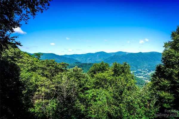 Maggie Valley, NC 28751,120 Woodpecker RD