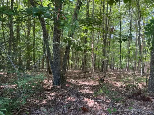 Mars Hill, NC 28754,Lot 20 Settlers Trail None