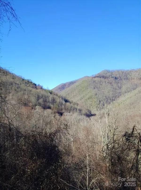 0 Soco RD, Maggie Valley, NC 28751