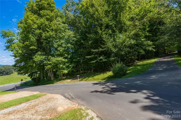 Brevard, NC 28712,TBD Island Ford RD