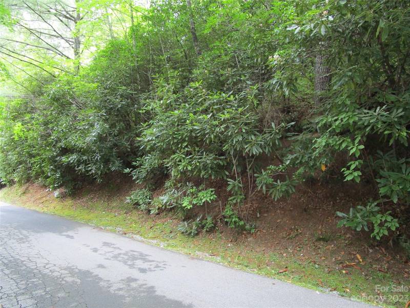 TBD Indian Lake RD #31, Lake Toxaway, NC 28747