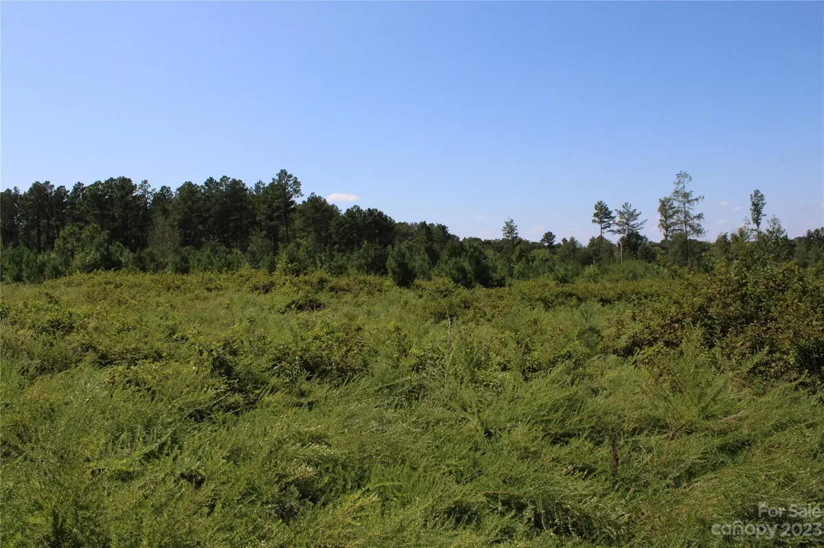 Chester, SC 29706,9ac Lot 3 Wooten RD