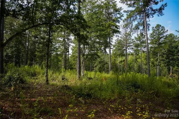 Connelly Springs, NC 28612,2083 Jumping RUN #Lot 186