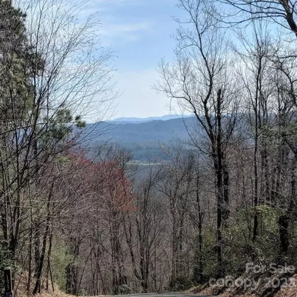 Black Mountain, NC 28711,94 Galax DR