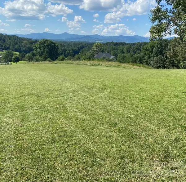 Weaverville, NC 28787,285 Seven Glens DR