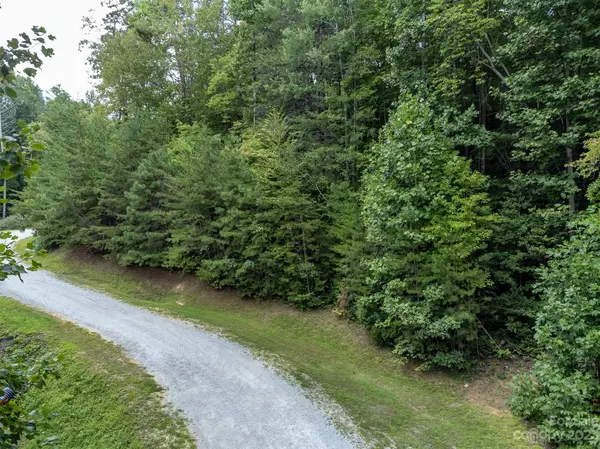 Old Fort, NC 28762,99999 Spring Lake TRL #5 & 7