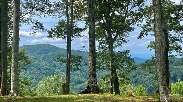 0 Adirondack LN, Bostic, NC 28018