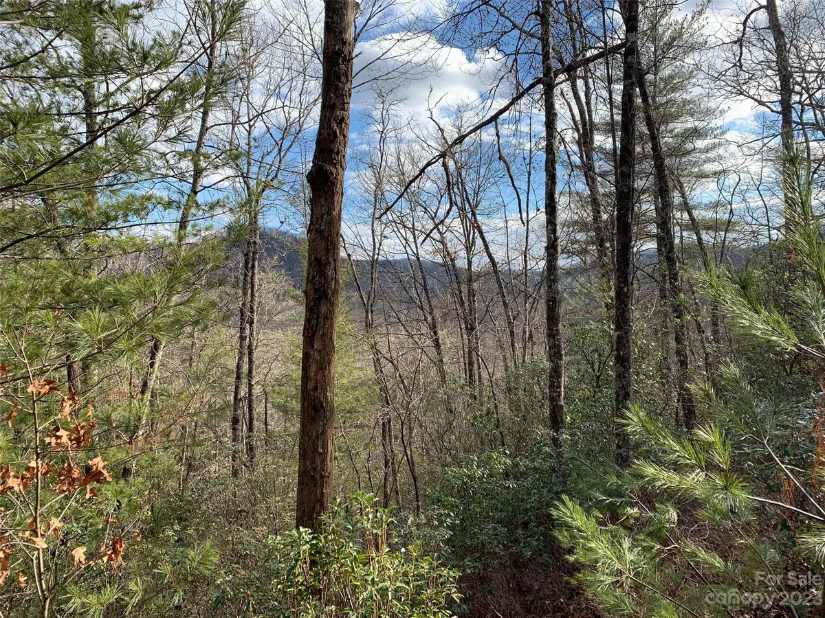 Brevard, NC 28712,91 Laurel Thicket LN