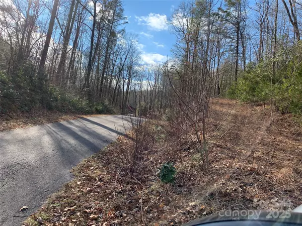 Brevard, NC 28712,124 Green Hollow LN