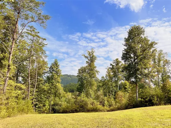 Rutherfordton, NC 28139,2673 Cove RD