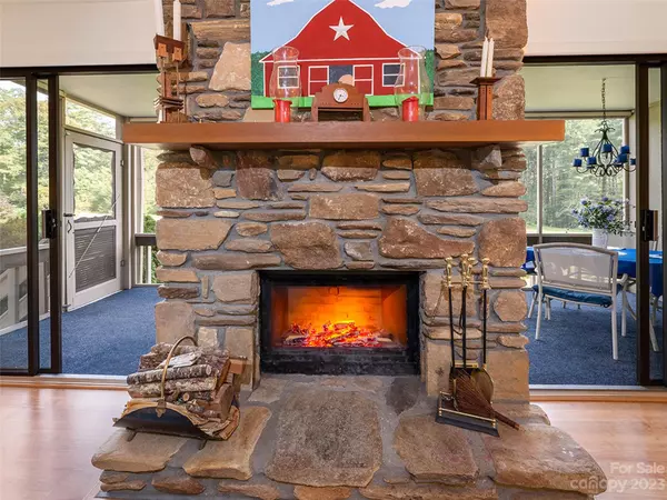 Pisgah Forest, NC 28768,157 Glen Cannon PT #1