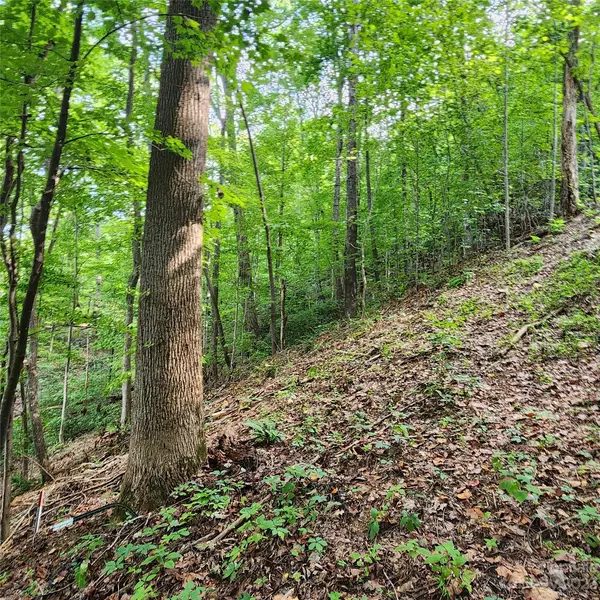 Lot 83 Switchback RD, Lake Lure, NC 28746