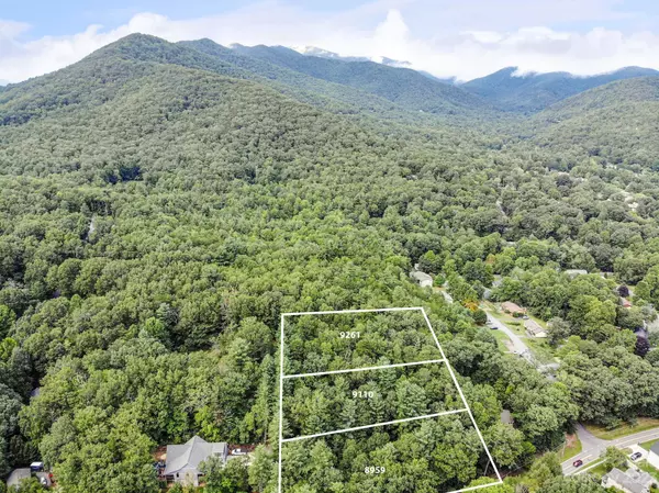 Black Mountain, NC 28711,Lot 3 Chinquapin HL