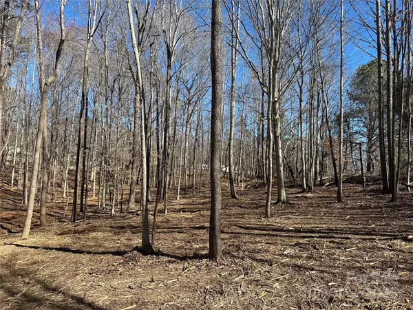 Troutman, NC 28166,0000 Lytton Farm RD