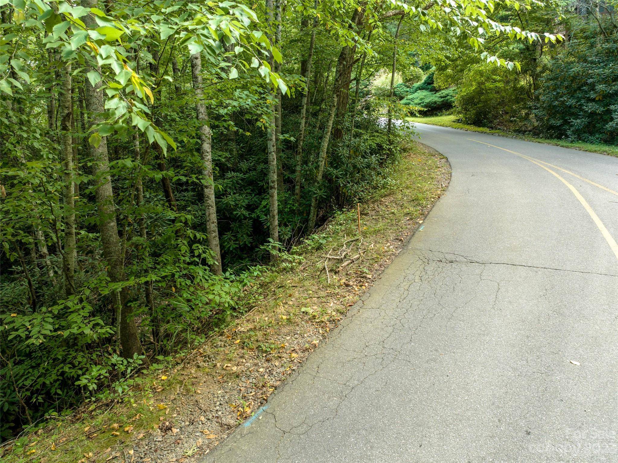 Black Mountain, NC 28711,99999 Chapel RD #7 and 8