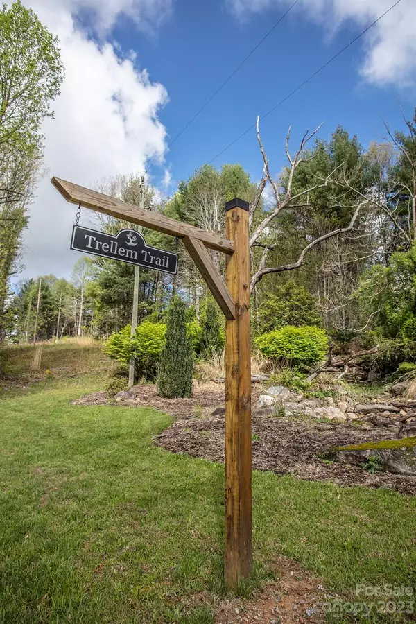 Hendersonville, NC 28739,0 Trellem TRL #6