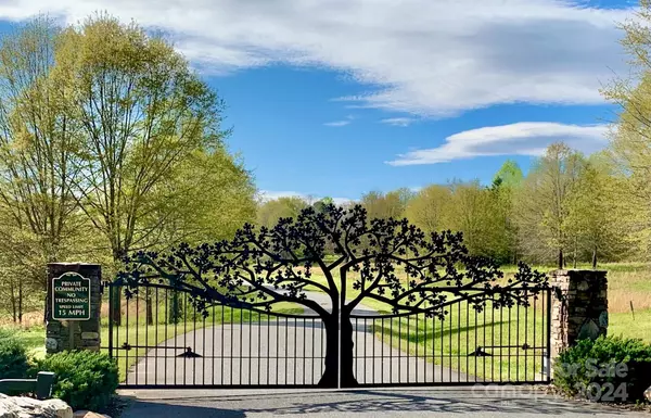 Rutherfordton, NC 28139,10.1 acres, Lot 71 Equestrian WAY #Lot 71