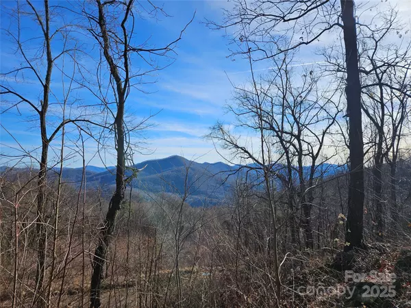 Canton, NC 28716,00 High Rock View DR