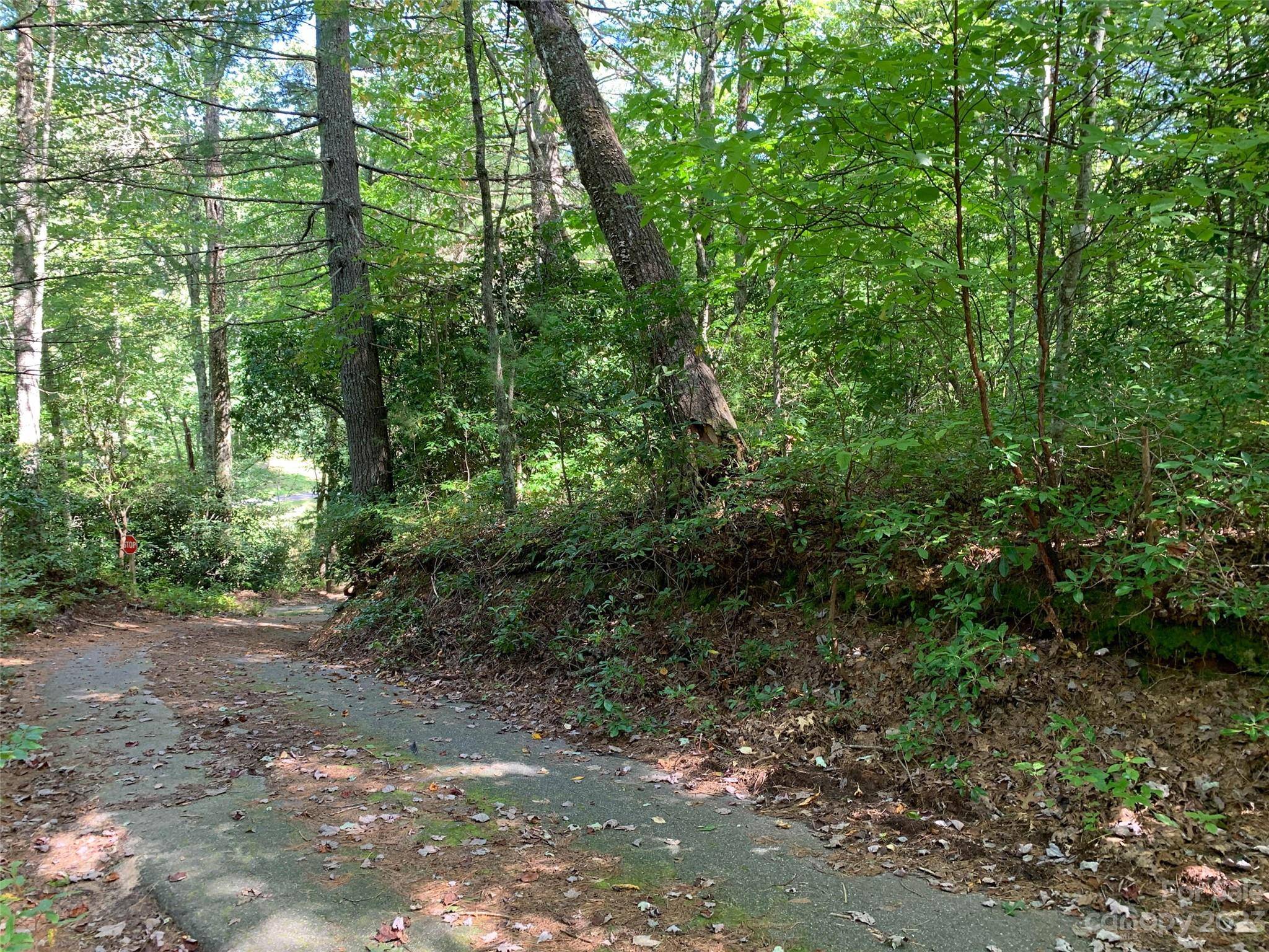 9999 Chemin Jacques DR, Brevard, NC 28712
