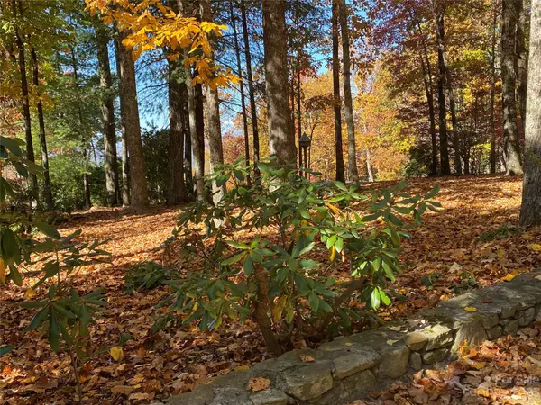 Flat Rock, NC 28731,119 Poplar Loop DR
