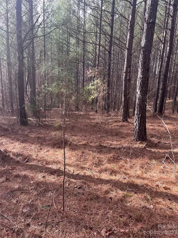 Rutherfordton, NC 28139,0 Clearwater Pkwy #33