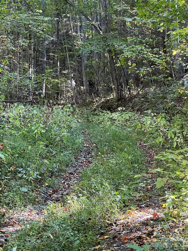 Mars Hill, NC 28754,3845 Hamburg RD