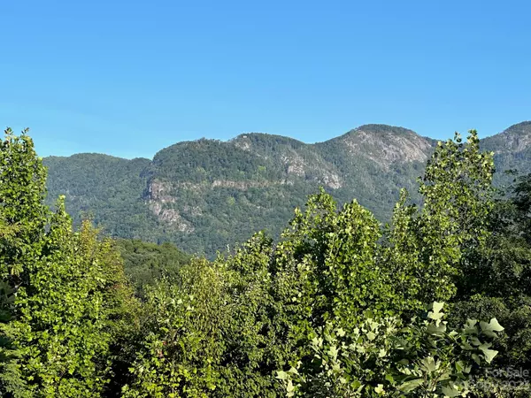 Lake Lure, NC 28746,000 Highlands DR #18