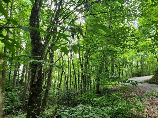 Waynesville, NC 28785,#19 Connies CV