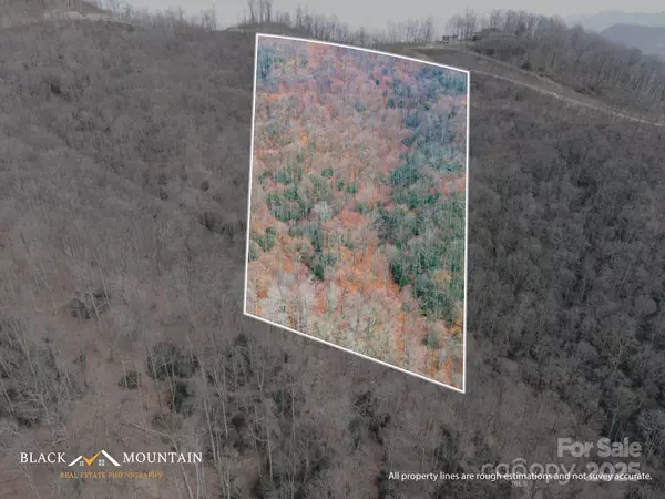 Canton, NC 28716,00 Summit View DR