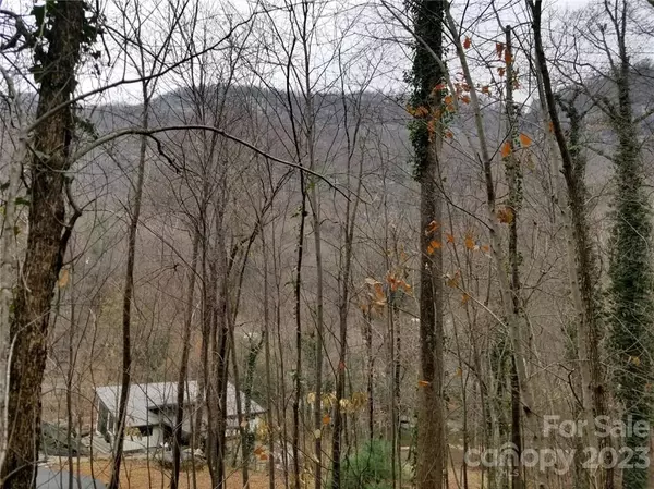 Chimney Rock, NC 28710,0 Fall Creek DR