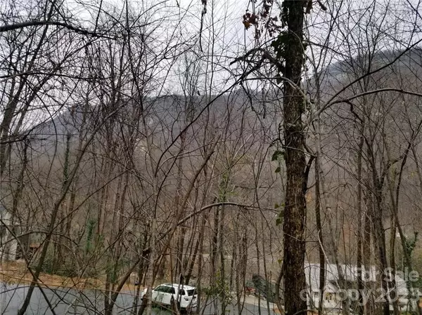 Chimney Rock, NC 28710,0 Fall Creek DR